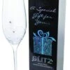 Dartington Glitz Champagne Flute -Denby Sales Store 23302 20066
