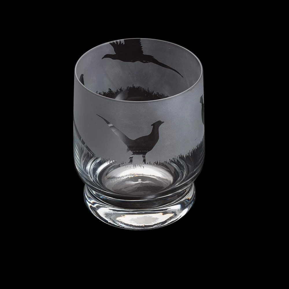 Dartington Aspect Pheasant Tumbler 3 Dartington Aspect Pheasant Tumbler