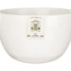 Artisan Street Salad Bowl 22cm 2 Artisan Street Salad Bowl 22cm -Denby Sales Store 46536 2923