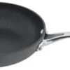 Horwood Stellar 6000 20cm Frypan -Denby Sales Store 4981 345